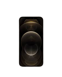 Iphone 12 Pro Max Gold
